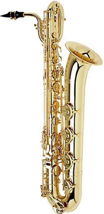 good saxophone on rent udaipur