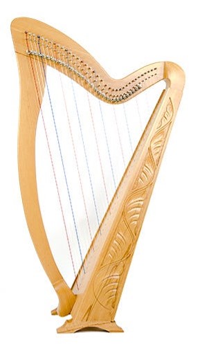 best harp on rent udaipur