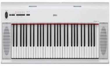 best piano rental service udaipur