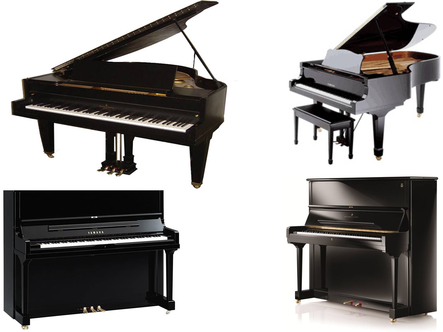 piano on rent udaipur